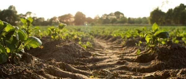 September 2025 Clerk Header