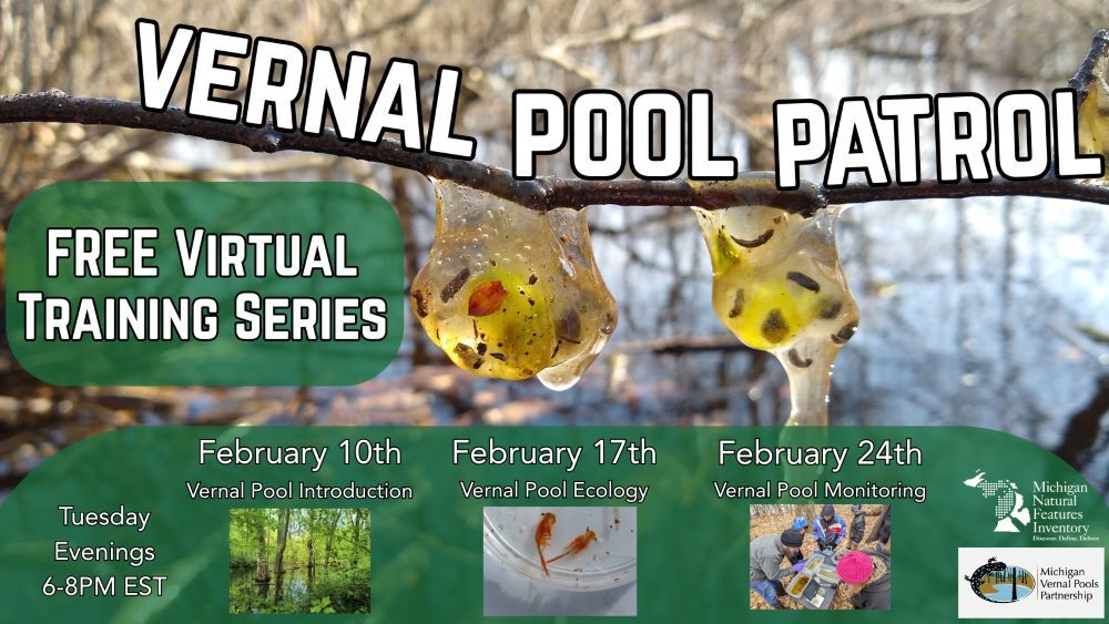 Vernal Pool Patrol