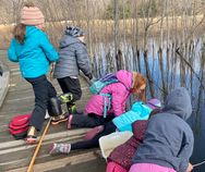 Above and Below the Snow