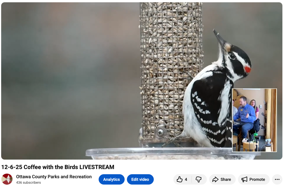 Coffee with the Birds Livestream