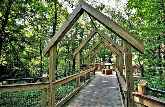 Grand Ravines County Park - Photo By Mike Lozon