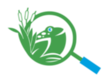 ODC Network Logo