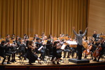 Chamber Orchestra