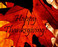 Happy Thanksgiving