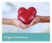 Organ Donor Registry