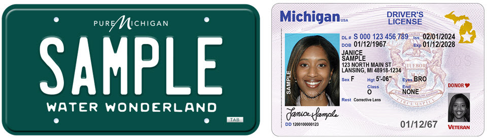 sample license plate and driver's license