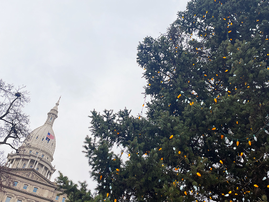 Michigan State Capitol Tree