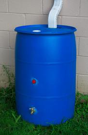 rain barrel