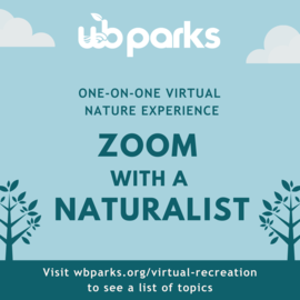 zoom with a naturalist