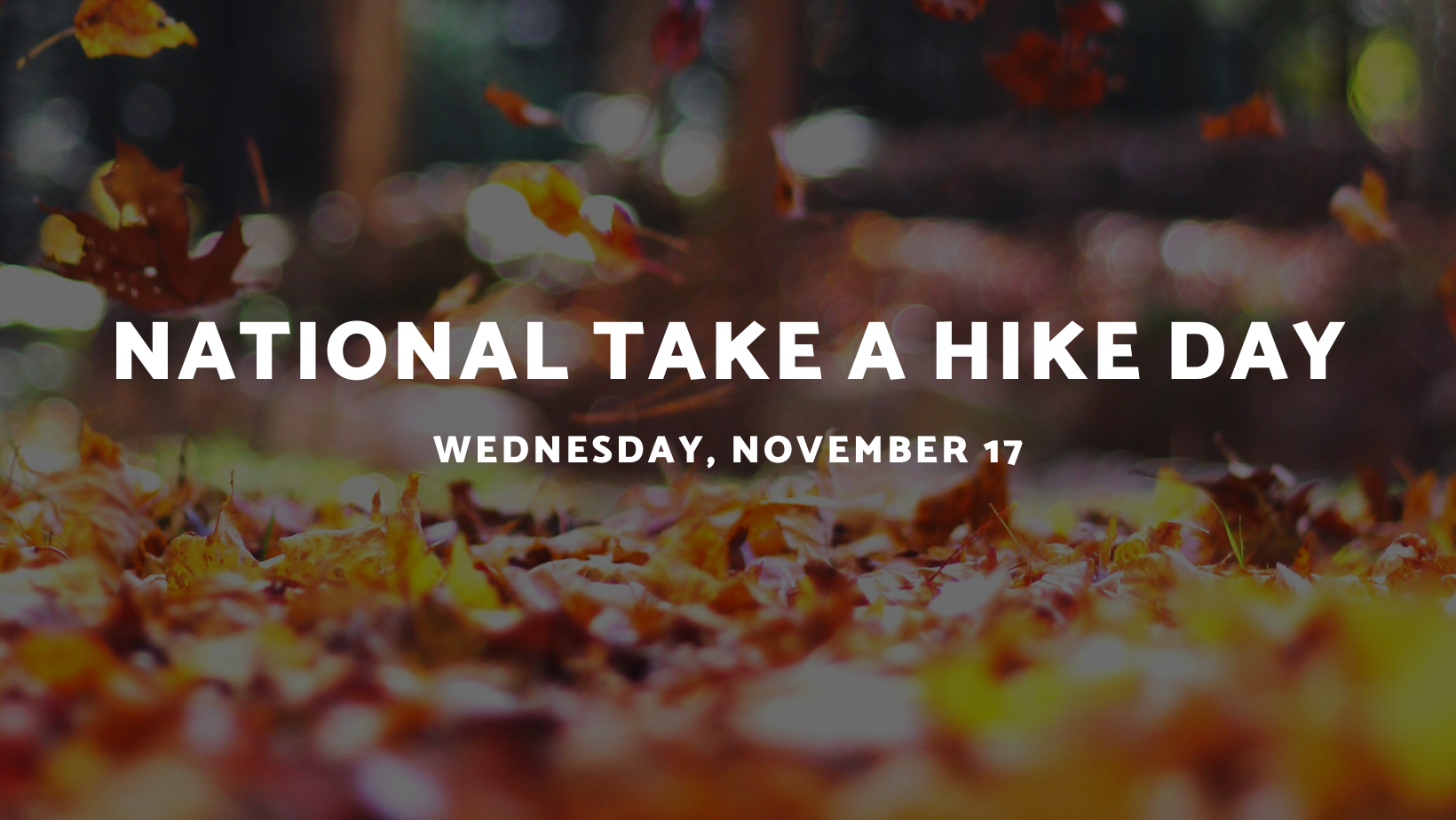 Help us celebrate National Take A Hike Day!