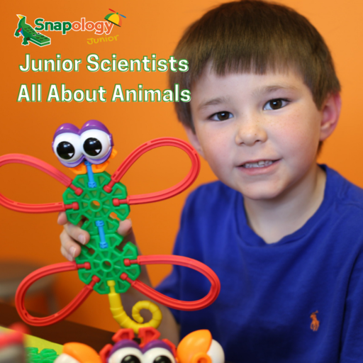Junior Scientist