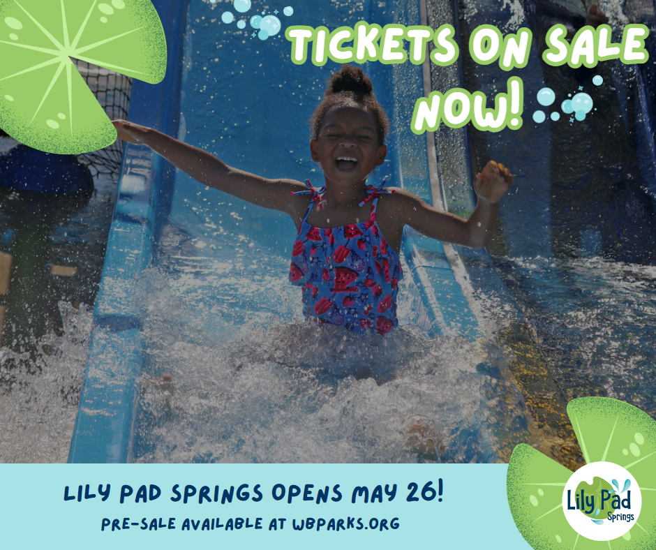 Lily Pad Springs