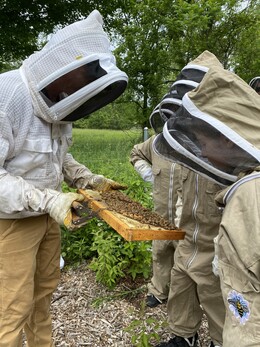 beekeeper