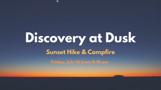 Discovery at Dusk