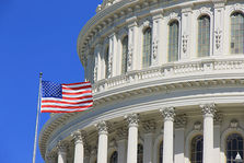 US Capitol flag