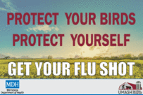 A flu vaccine protects your poultry