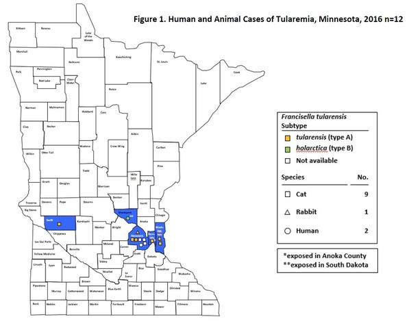 Map of 2016 Tularemia Cases in Minnesota