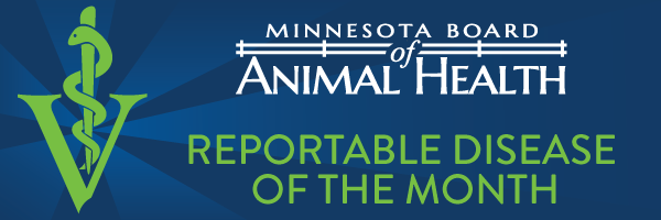 Minnesota Board of Animal Health Reportable Disease of the Month Header