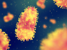 Rabies virus