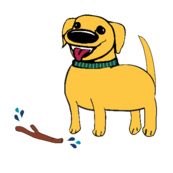 Splash the HAB dog graphic