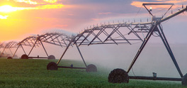 Water pivot in farm field