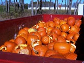 Pumpkin recycling