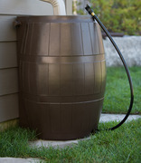 Rain Barrel