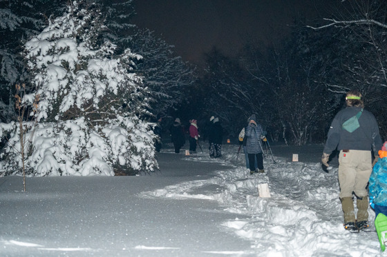 Luminary Snowshoe Walk