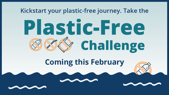 plastic-free