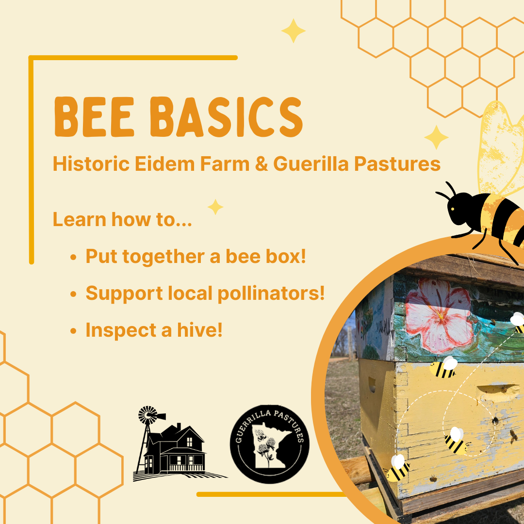 Bee Basics