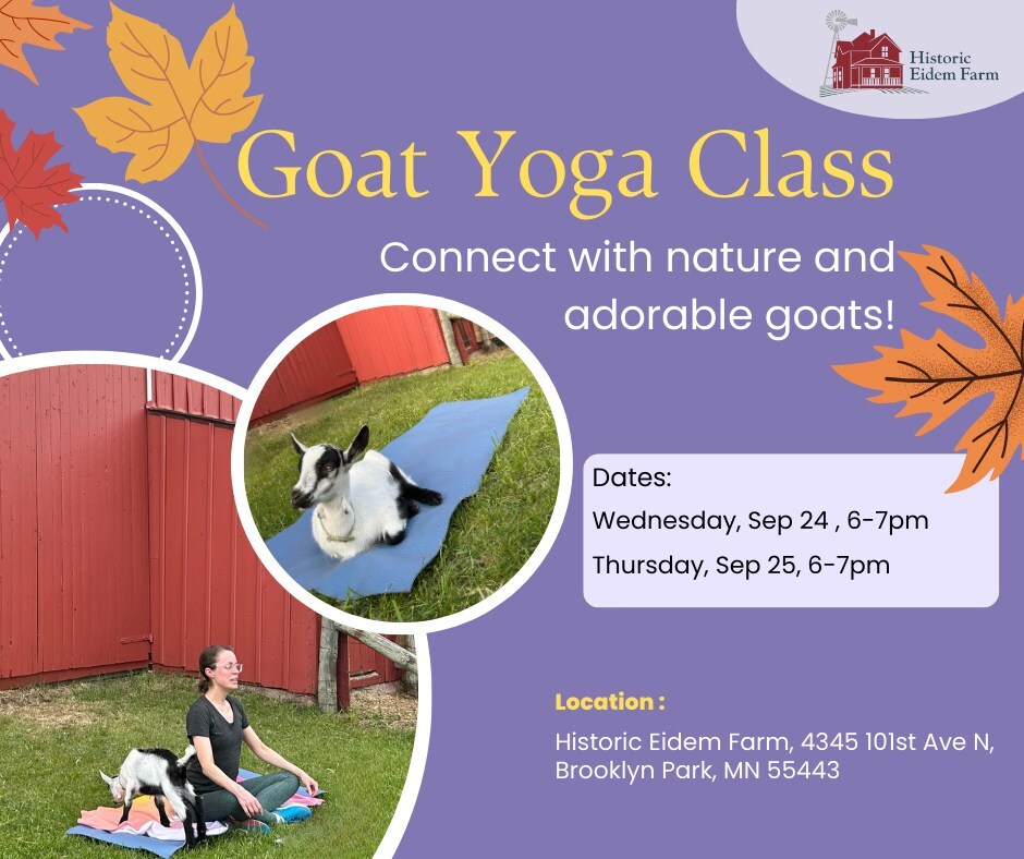 Goat Yoga
