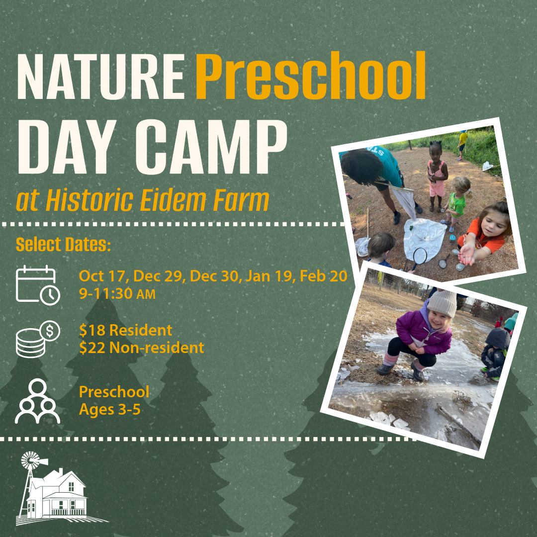 Nature Preschool Day Camp