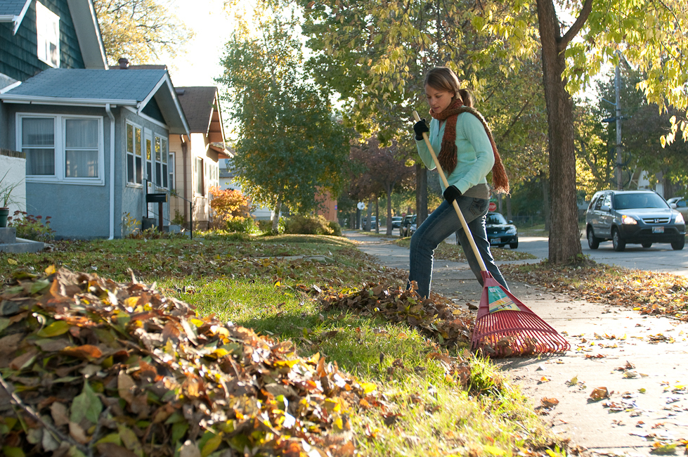 Raking Leave