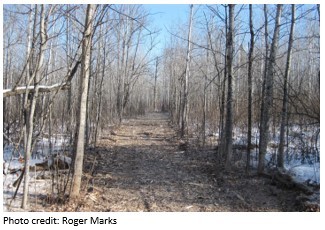 Technical Training Certification Program Updates Wooded Trail Photo Credit: Roger Marks