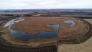 Wetland restoration