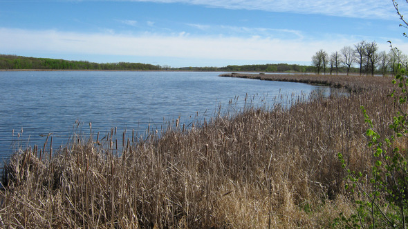 June 2024 Snapshots: Wild rice easements, Redwood River flood control ...