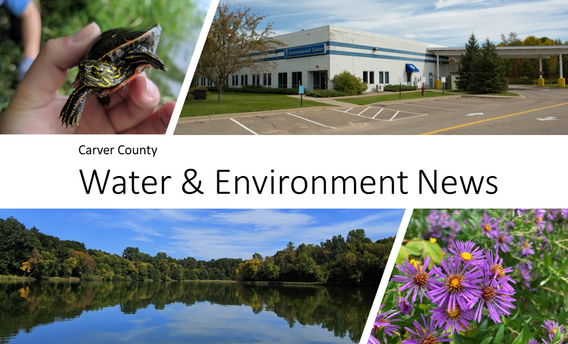 Water & Environmental newsletter header