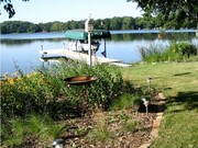 Shoreline restoration with native plants