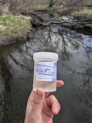 Collection vial with water sample for E. coli monitoring