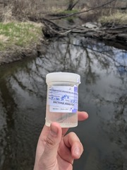 Collection vial with water sample for E. coli monitoring