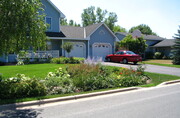 Raingarden in neighborhood