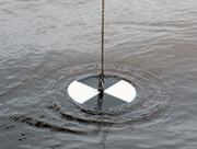 A secchi disc used for measuring lake water transparency