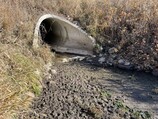 Drought in Carver Creek stormwater runoff outlet