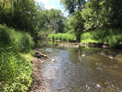 Carver Creek in summer 