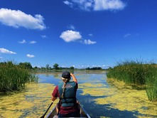 person canoeing through an inlet into a lake with aquatic plants on either side 