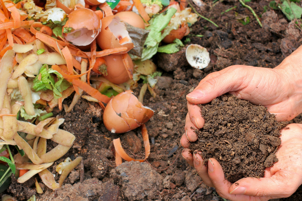 A hand scooping dirt from a pile with pieces of eggshell and leafy greens 