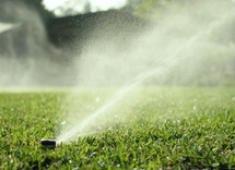 sprinklers_closeup_1 