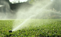 sprinklers_closeup_1 