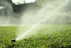 sprinklers_closeup_1