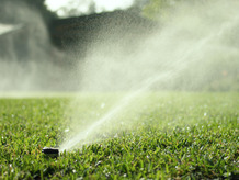 sprinklers_closeup_1 